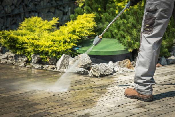 Best Solar Panel Cleaning  in Lake Como, NJ