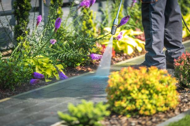 Best Sidewalk and Walkway Cleaning  in Lake Como, NJ